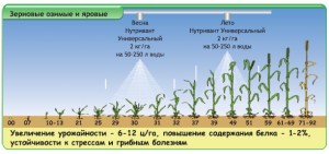 16_03_2010_universal_2 16_03_2010_universal_2